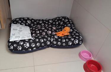 Apartamento completo - Foto 2