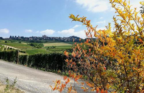 ROSTAGNI1834: VILLA WITH 2 APTS AND POOL IN THE BAROLO REGION - Foto 48
