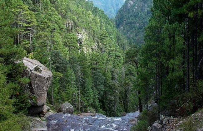 Excursión al Parque Natural Mexiquillo - Foto 2