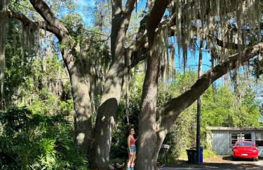 Lakeside Lily Pad - Foto 18