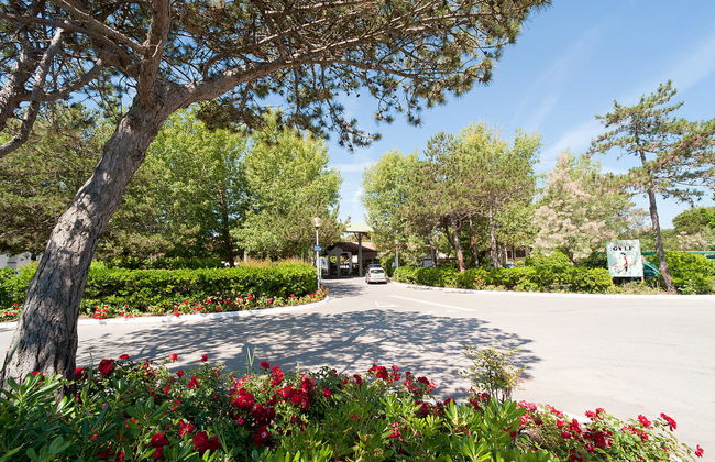 Happy Plus - Foto 33