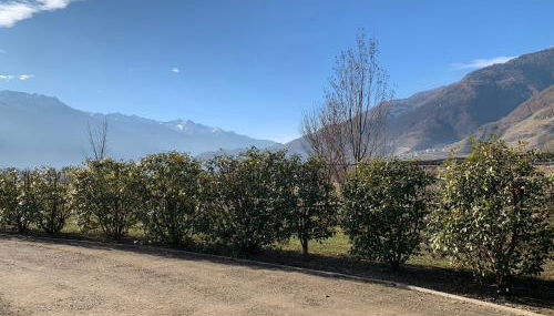 IL COMO' DELLA CIVETTA - Nido della Civetta - Photo 5