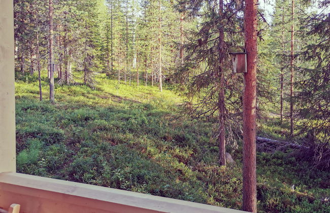 Käenkukka - Foto 21