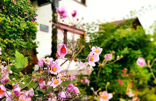 Ferienwohnung Berges - Foto 10