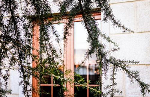 RB Villa Cruzeiro - Foto 39