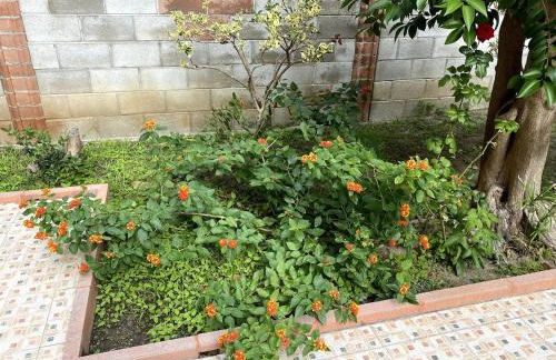 Il Giardino Segreto - Foto 17