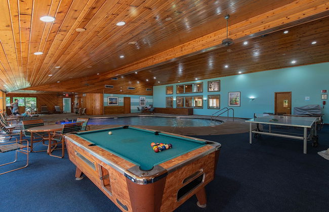 The Rushes - Foto 39