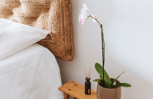 Chão do Ribeirinho - Photo 9