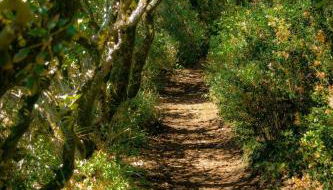 Beach apartment - Ocean sunset full view - Foto 3