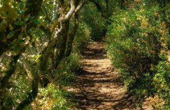 Beach apartment - Ocean sunset full view - Foto 3