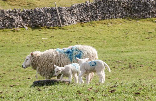 The Haybarn - Foto 29