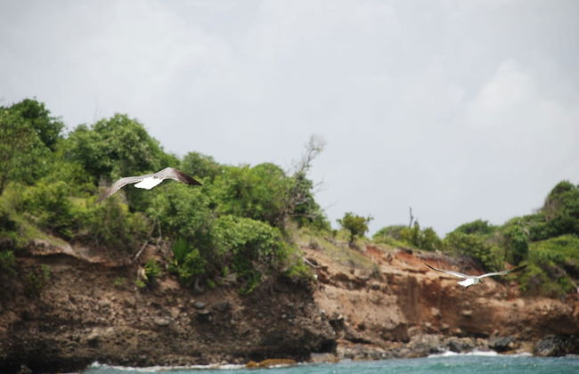 Cabier Ocean Lodge - Foto 68