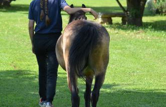 Agriturismo Domus Magna - Foto 35