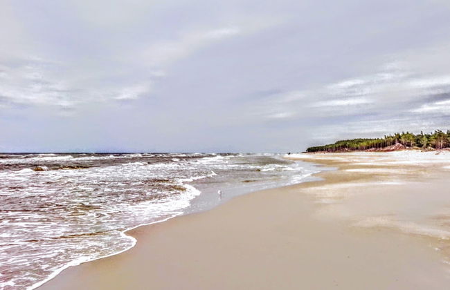 3 bedroom House in Choczewo with garden and terrace - Photo 15