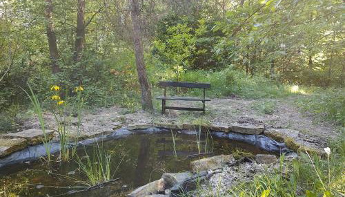 Domek w lesie - Foto 3, Garden