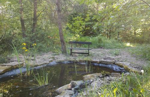 Domek w lesie - Foto 3