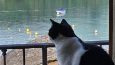 La baia d'acquadolce - Foto 2