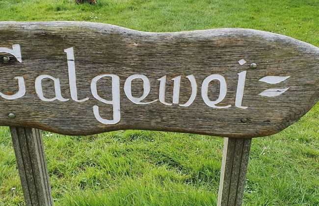 De Zon in Zeeland Holiday Residence - Photo 31