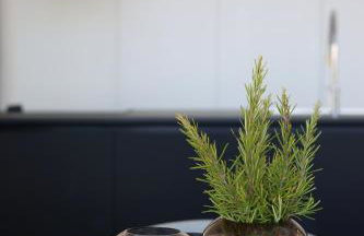 Villa Brac - Photo 18