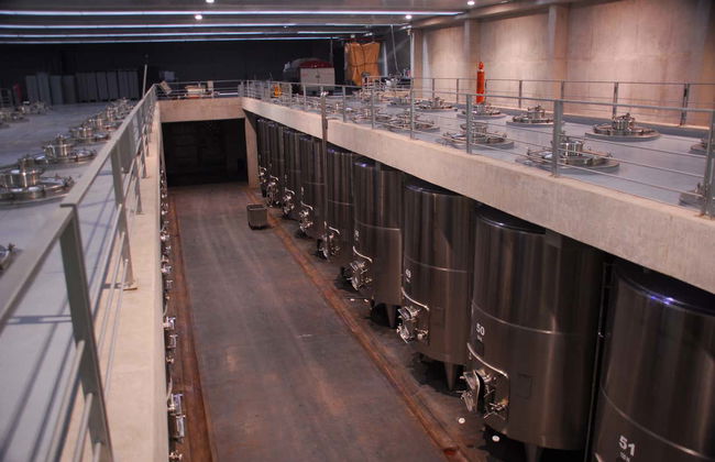 Tour privado pelas adegas do Vale do Uco - Foto 7