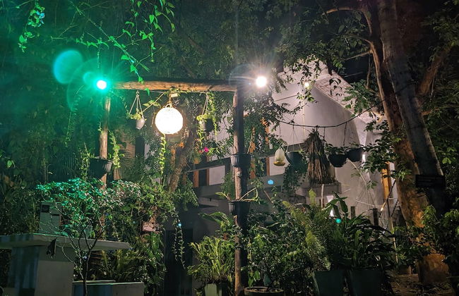 Green Villa & Soul Villa & Soul Cabana - Photo 59