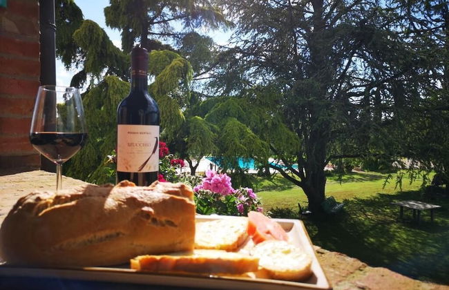 Poggio del Sole - Photo 35