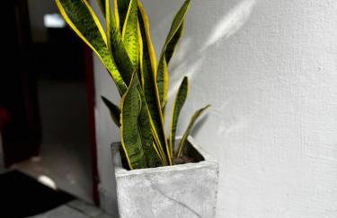 Casa Alegria - Praia de Catuama -PE - Foto 36