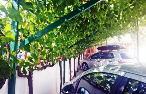 Apartments Eugen Pedisić - Photo 7