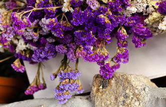 Casa do Compasso - Foto 67