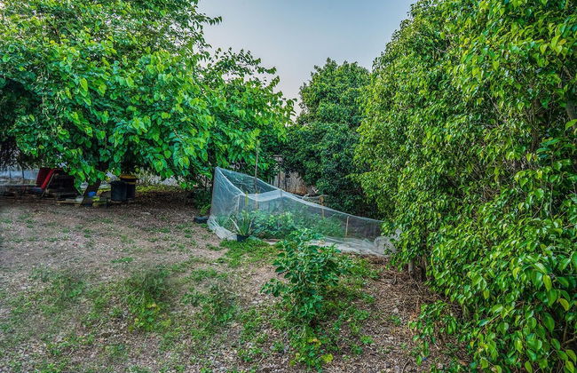 Loveneel Sea Galilee Retreat by SeaNRent - Foto 47