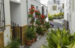 Casa güejareña, muy acogedora - Foto 10