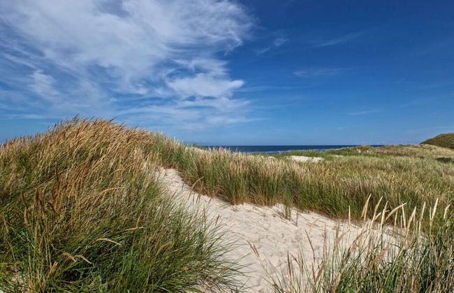 Dunenhuus Ost Modern Retreat - Foto 29