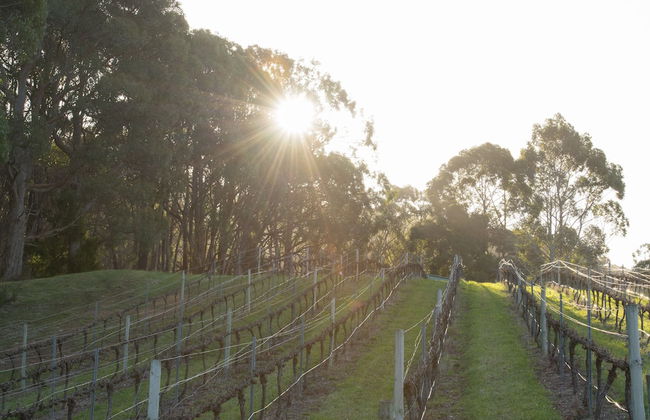 Esto House - Photo 21