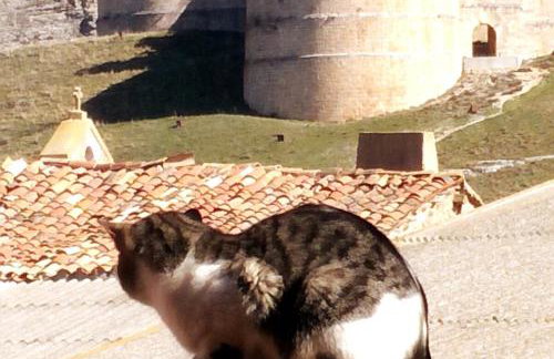 CASA RURAL ALTA YUBERIA - Foto 10