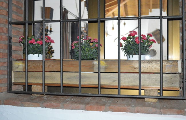 Cortijo Veracruz - Photo 56