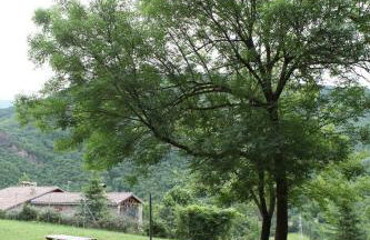 Casa de Colònies Vall de Boí - Verge Blanca - Foto 13