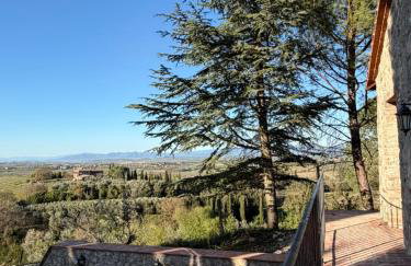 LA COLLINA DEI SAPORI Montepulciano - Photo 18