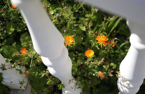 Moro Vrbnik - Foto 10