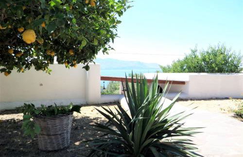 Case al Mare - terrazzi panoramici e ampio giardino - Foto 51