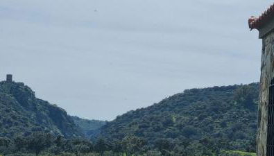 Casas Rurales Racha Rachel, Zarza la Mayor - Foto 4