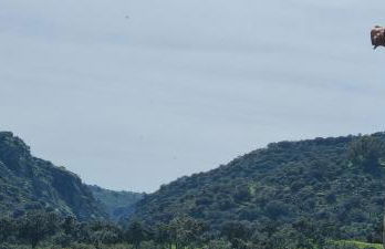 Casas Rurales Racha Rachel, Zarza la Mayor - Foto 4