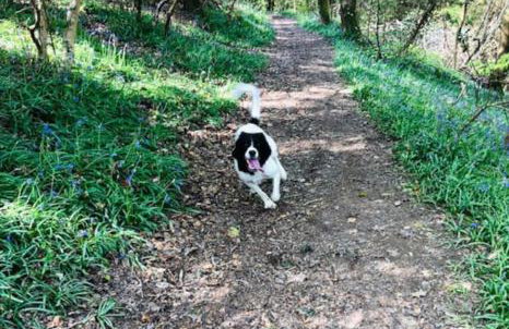 The Old Smelting Works - Photo 19