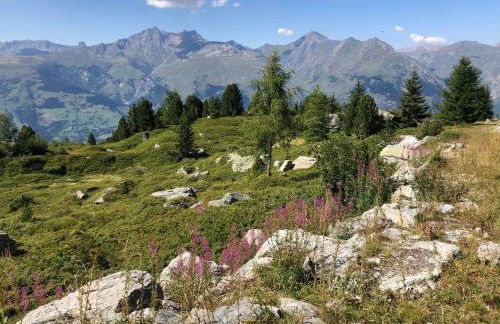 Les ARCS 1600 - SKI AUX PIEDS - MAGNIFIQUE DUPLEX 12 PERSONNES - Foto 67
