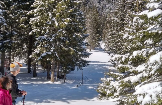 Senderismo por el Parque Nacional Piatra Craiului - Foto 1