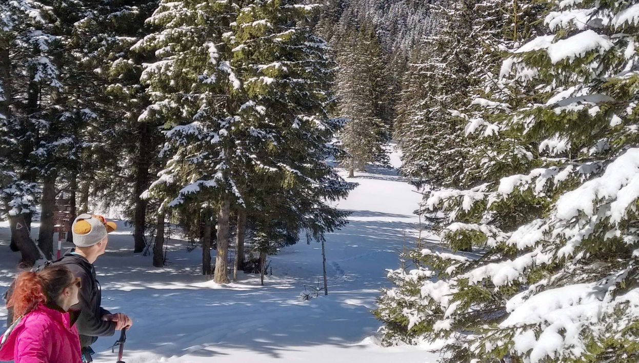 Piatra Craiului National Park Hiking Tour - Foto 1