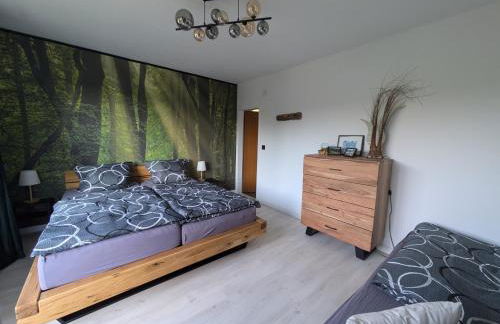 FeWo Waldseeblick Hahnenklee - Foto 7