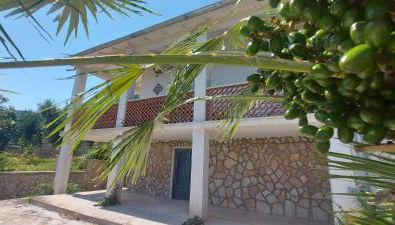 Olivo Macchia - Foto 3