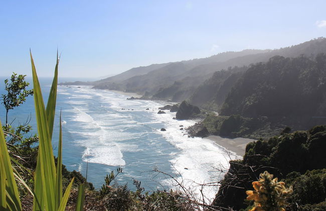 Carters Beach Holiday Studios - Foto 17