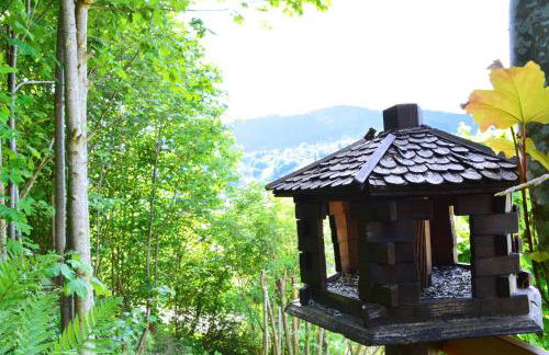 Pazdur Alpirsbach - Foto 31