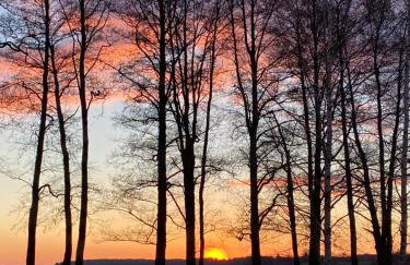 Pensjonat Rybical - Foto 55